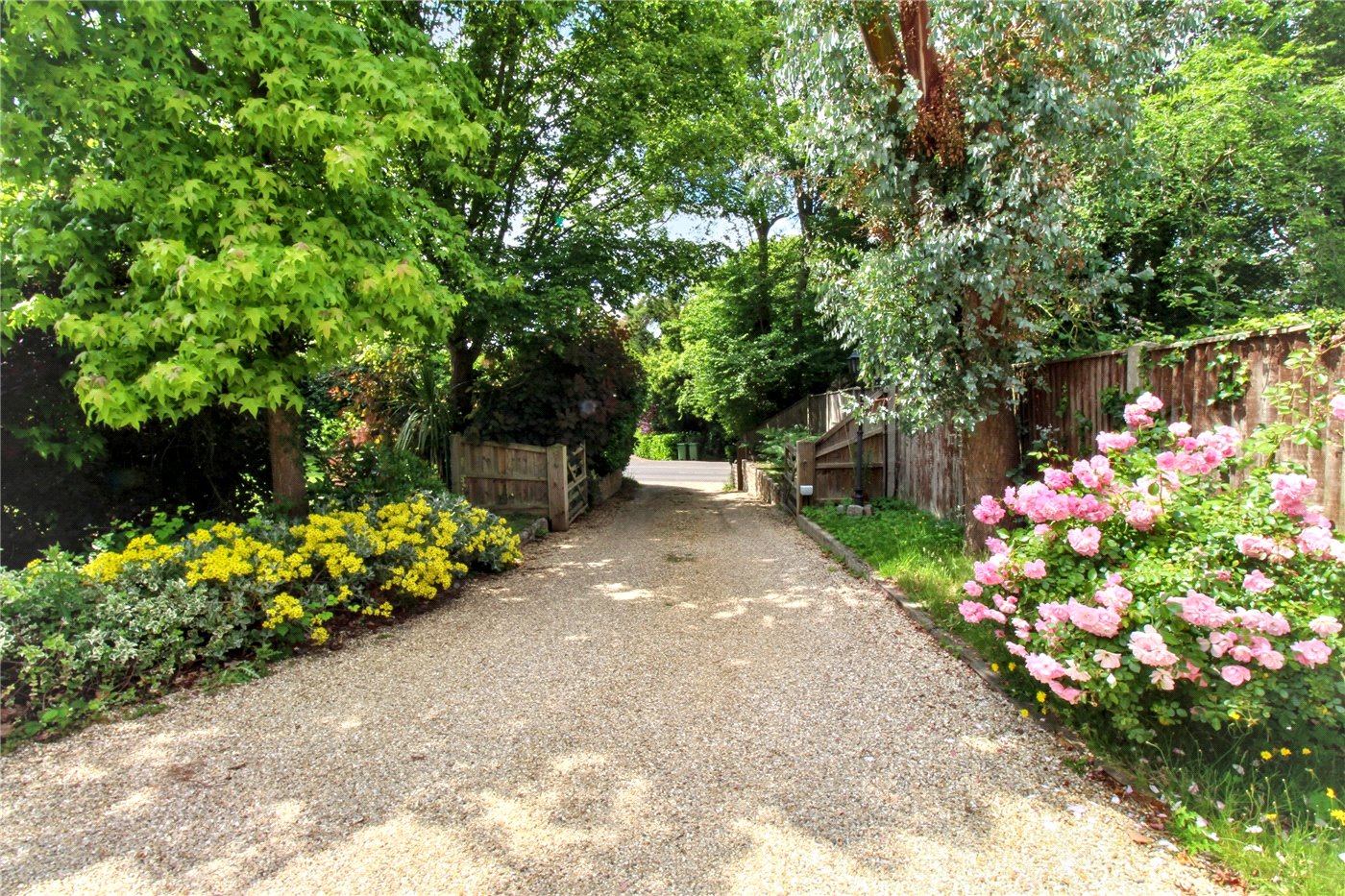 Driveway